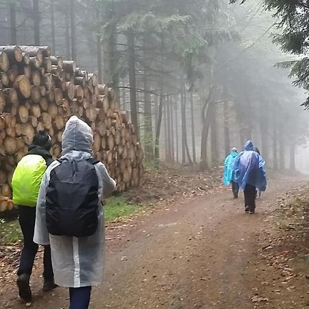 Urlaubsdomizil Am Toepfer - Ferienwohnungen In Olbersdorf エクステリア 写真