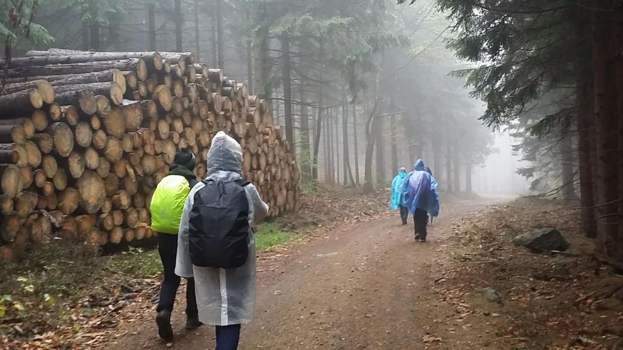 Urlaubsdomizil Am Toepfer - Ferienwohnungen In Olbersdorf エクステリア 写真