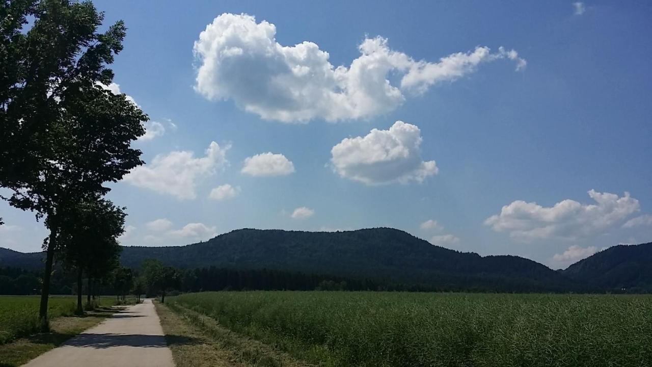 Urlaubsdomizil Am Toepfer - Ferienwohnungen In Olbersdorf エクステリア 写真