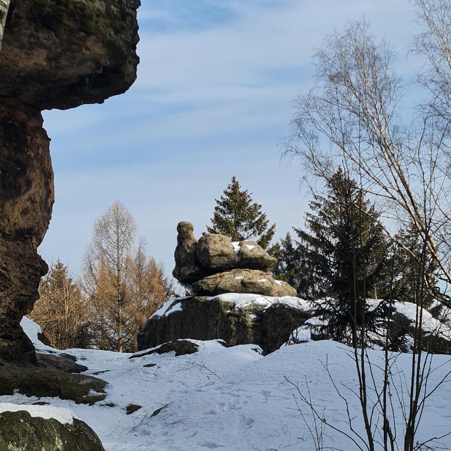 Urlaubsdomizil Am Toepfer - Ferienwohnungen In Olbersdorf エクステリア 写真