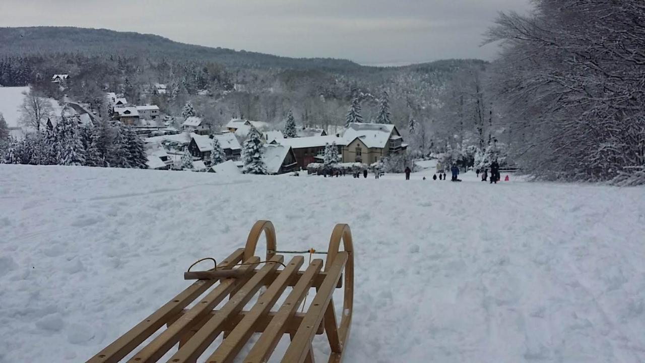 Urlaubsdomizil Am Toepfer - Ferienwohnungen In Olbersdorf エクステリア 写真