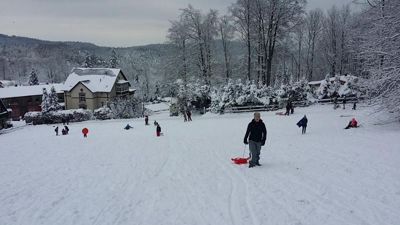 Urlaubsdomizil Am Toepfer - Ferienwohnungen In Olbersdorf エクステリア 写真
