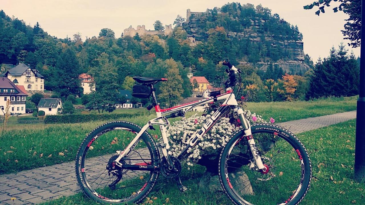 Urlaubsdomizil Am Toepfer - Ferienwohnungen In Olbersdorf エクステリア 写真